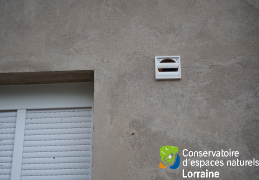 Suivis scientifiques