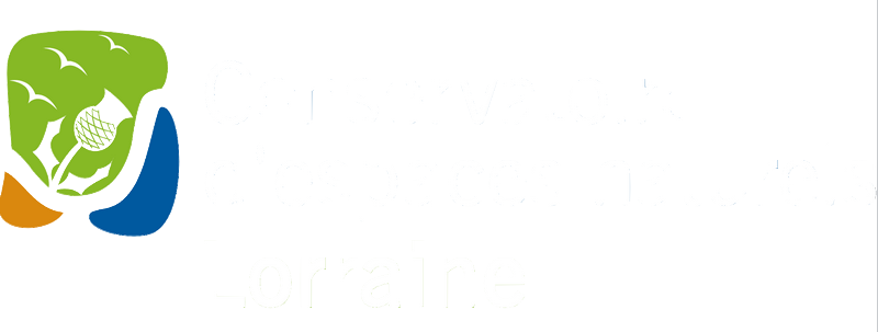 Photothèque CEN Lorraine